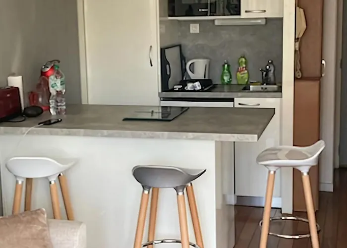 Charming 20 M From The In Appartement Arcachon