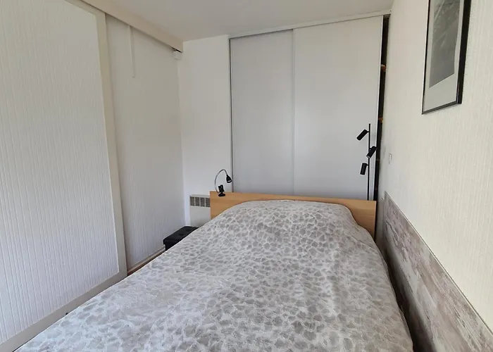 Charming 20 M From The In * Arcachon