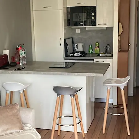 Charming 20 M From The In Apartman Arcachon