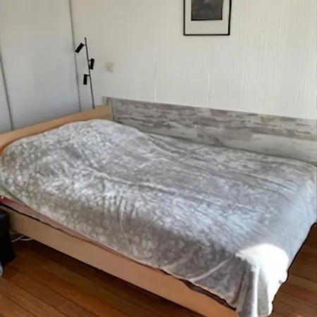 Charming 20 M From The In *