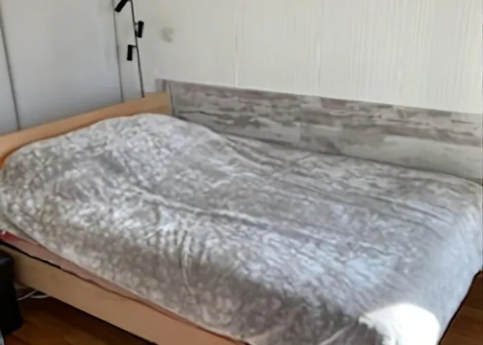 Charming 20 M From The In *