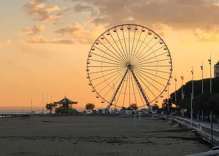 Charming 20 M From The In 아르카숑